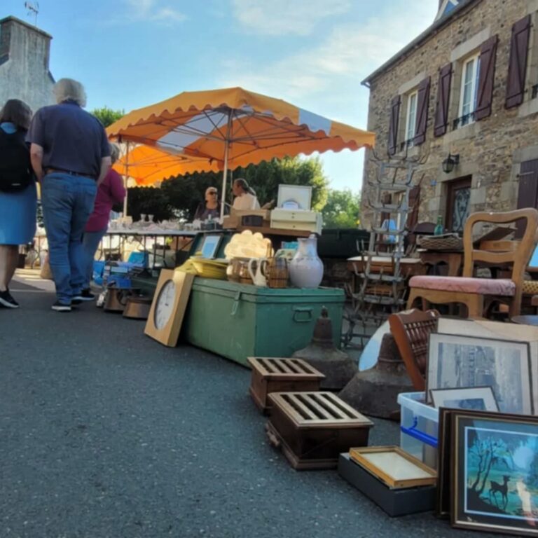 504484728 17973281033892879 7346487097129138768 n